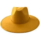 accessory Casey Rancher Mustard The Modern Cactus $52