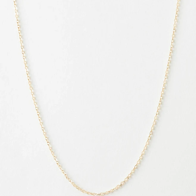 accessory 14K Gold Fill Dainty Chain GLDN $58